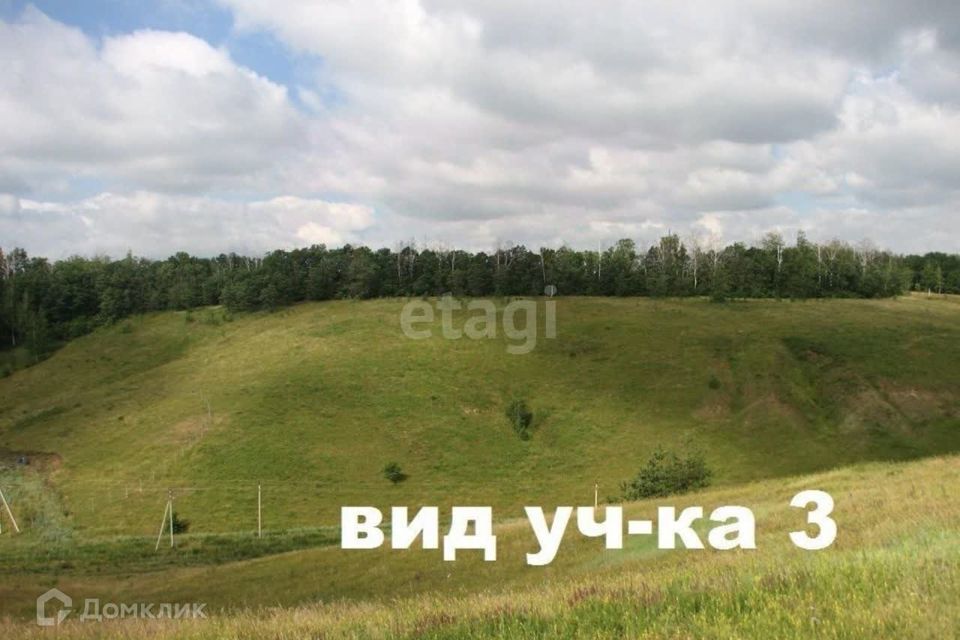 земля р-н Белгородский с Репное ул Приовражная фото 10