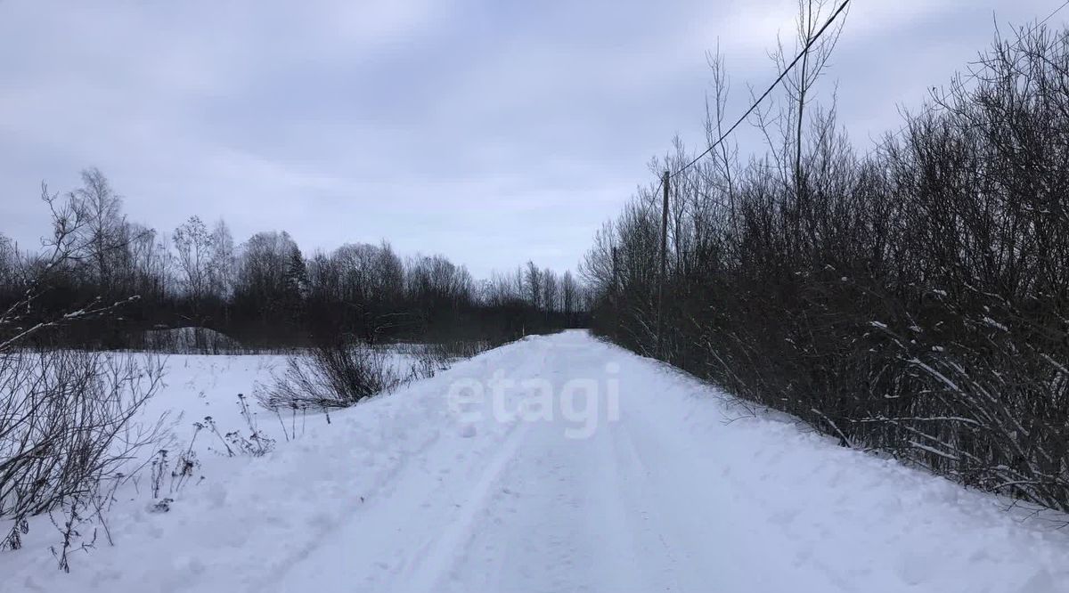 земля р-н Новгородский д Воробейка Борковское с пос фото 15