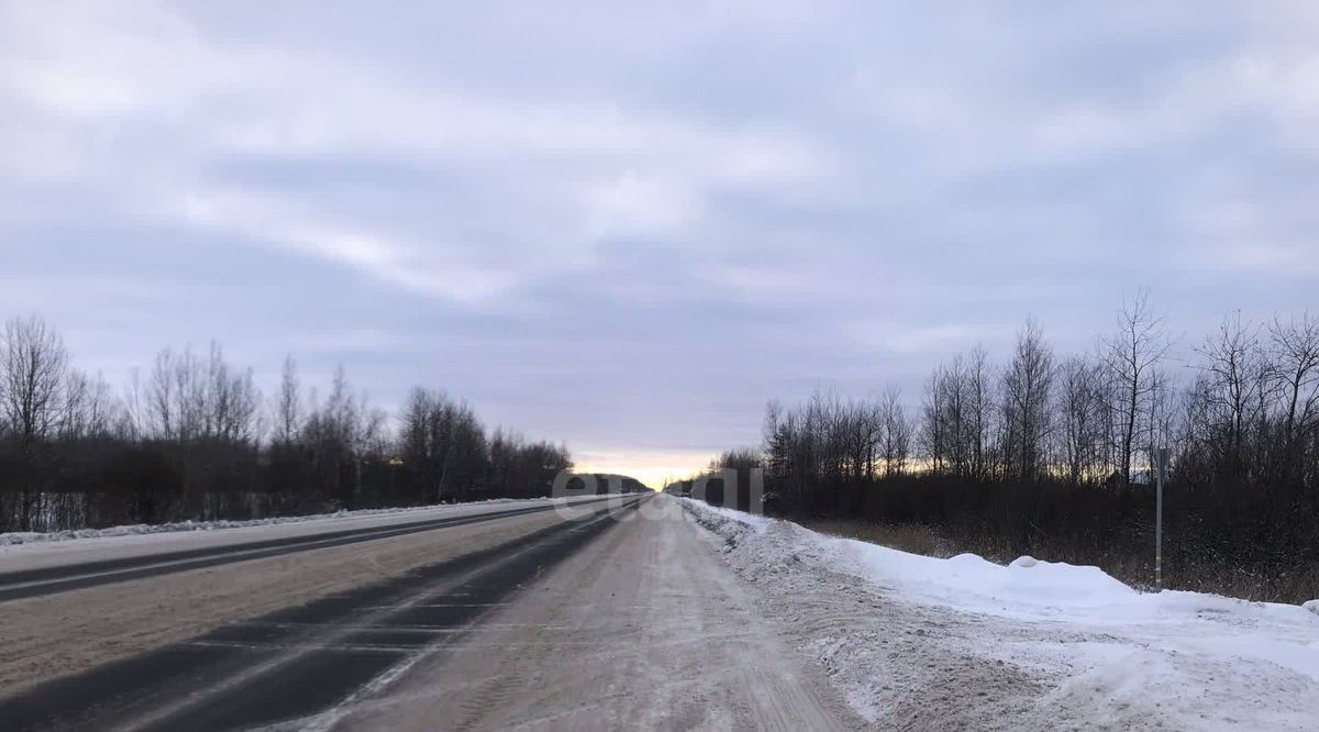 земля р-н Новгородский д Воробейка Борковское с пос фото 11