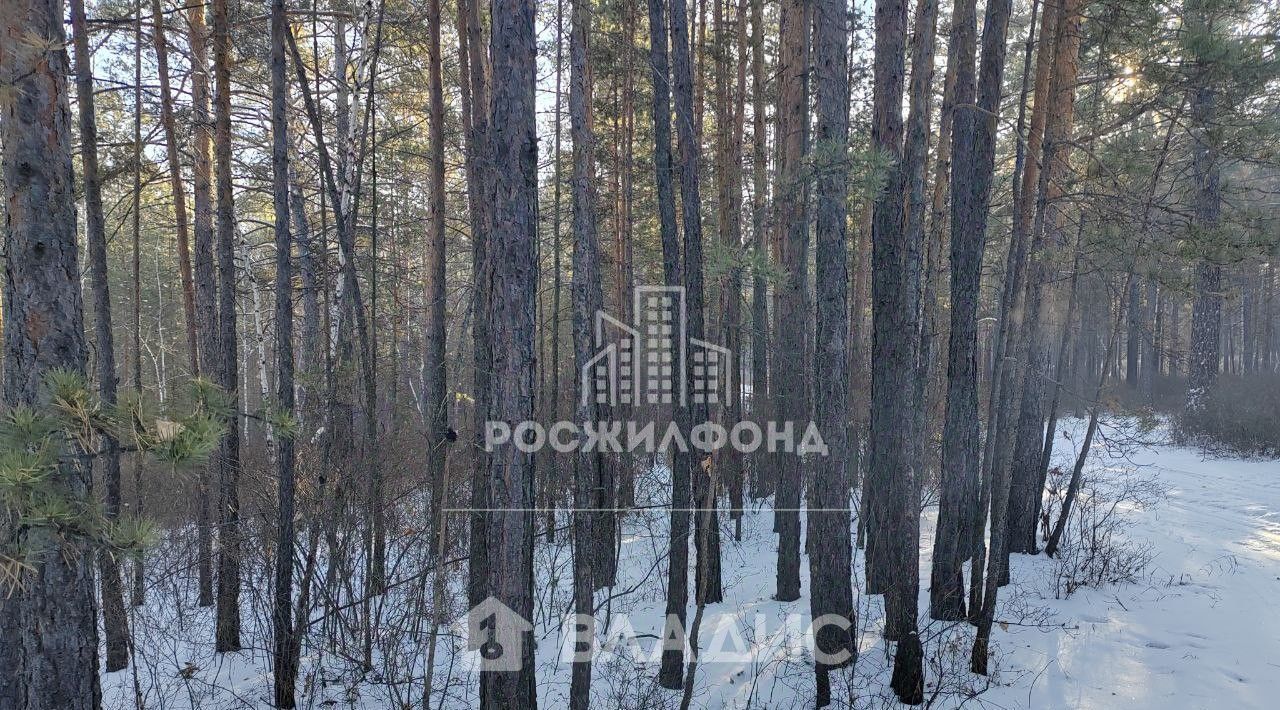 земля р-н Читинский с Карповка ул Рябиновая фото 7