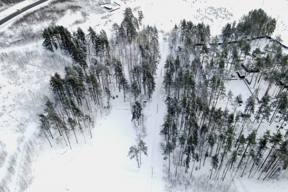 земля р-н Волосовский Рабитицкое сельское поселение фото 10