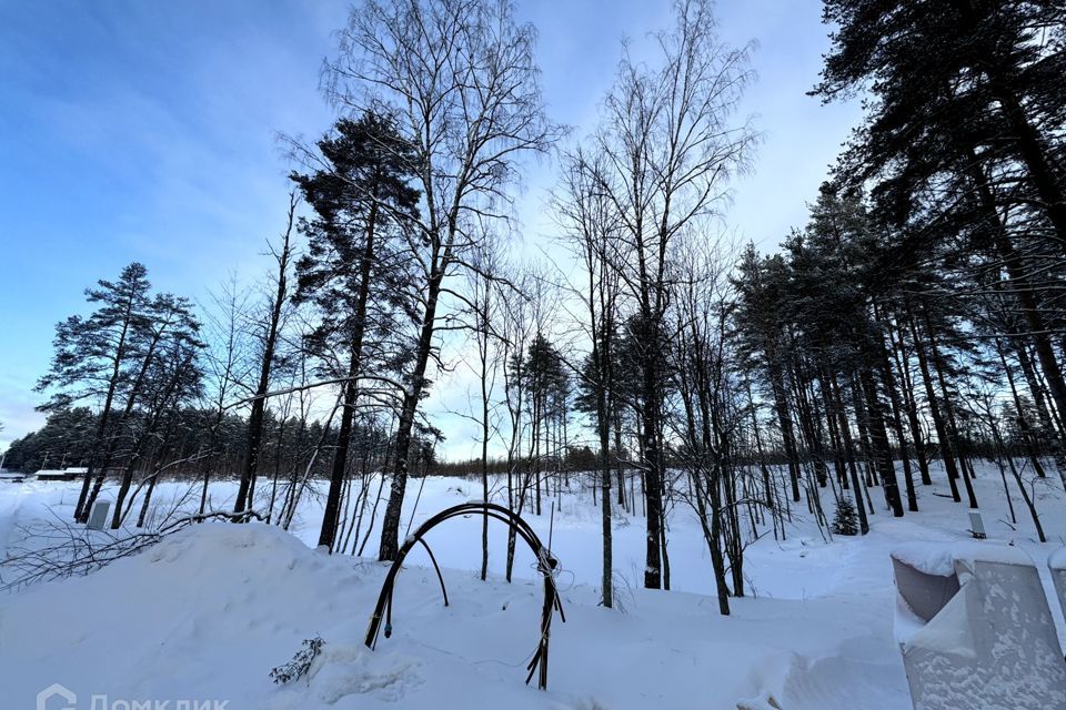 земля р-н Всеволожский коттеджный посёлок Сосновка фото 6