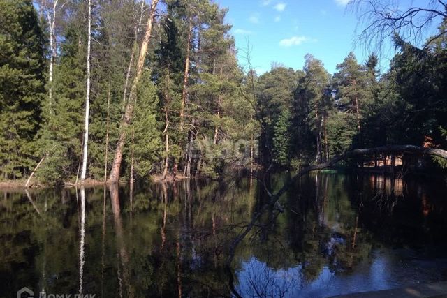 городской округ Сургут, садовое товарищество Виктория, Центральная улица фото