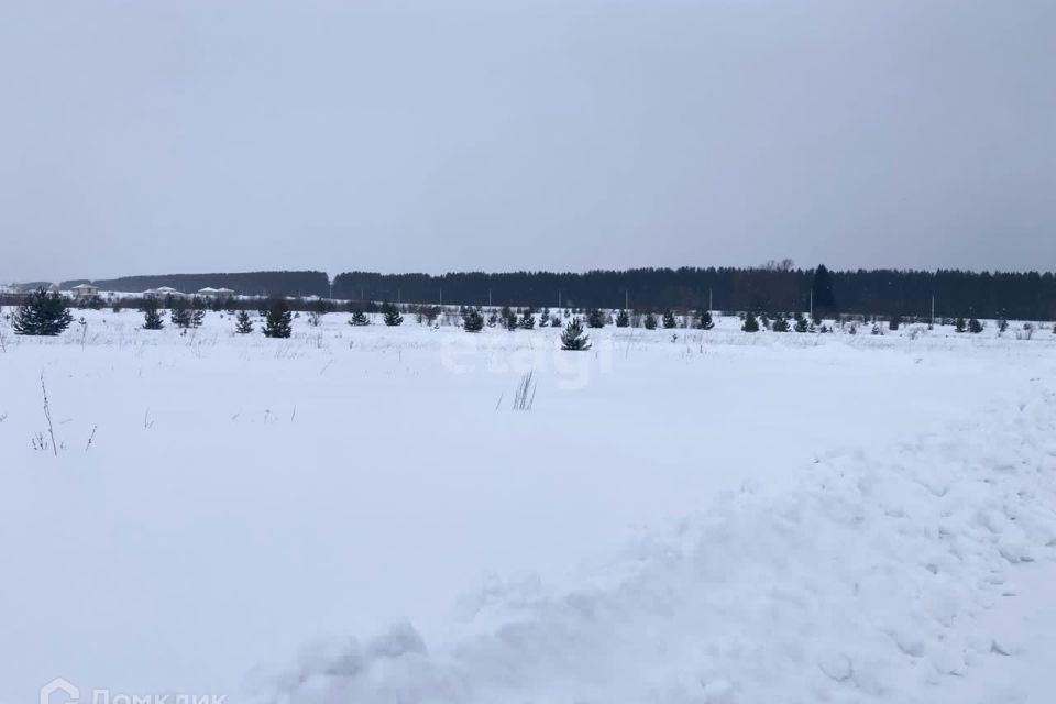 земля р-н Завьяловский муниципальное образование Пироговское фото 1