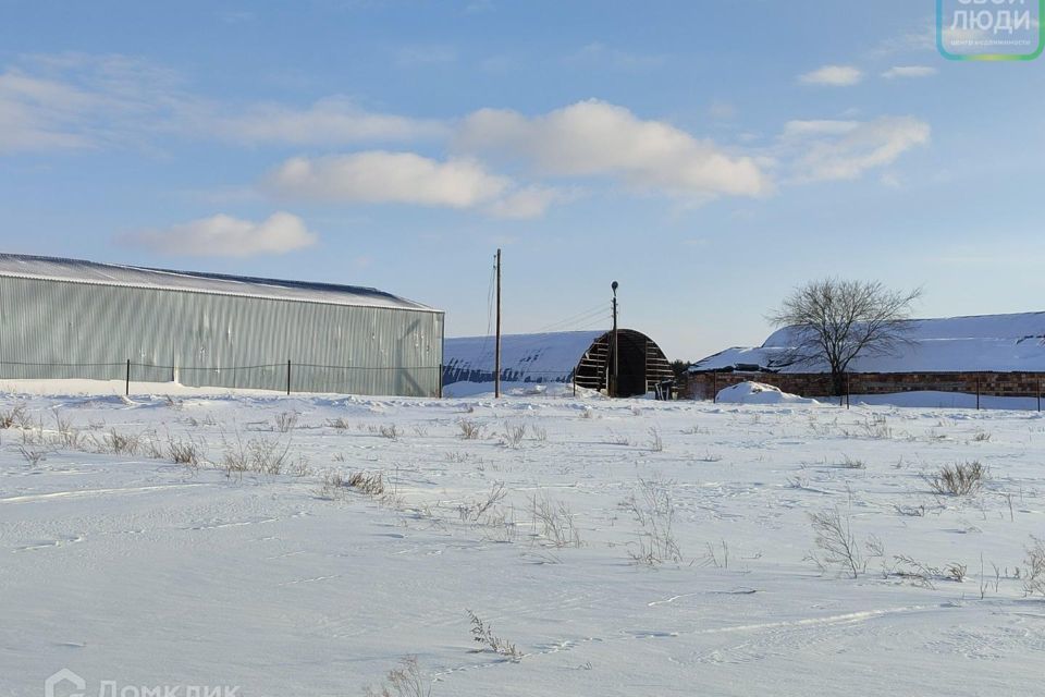 земля р-н Рязанский село Коростово фото 3