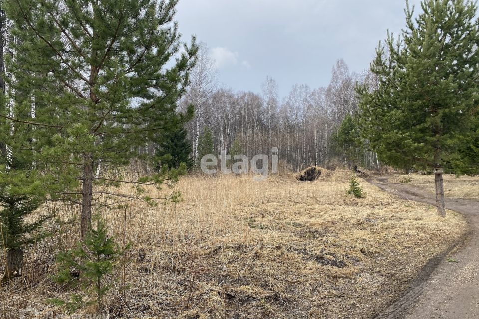 земля р-н Емельяновский п Минино ул Вокзальная фото 1