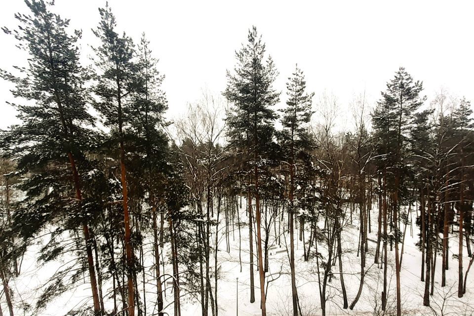 квартира городской округ Богородский п Зеленый ул Школьная 11 фото 8