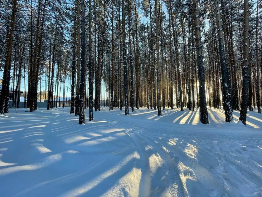 дом р-н Тюменский д Патрушева ул Сосновая 36 фото 9