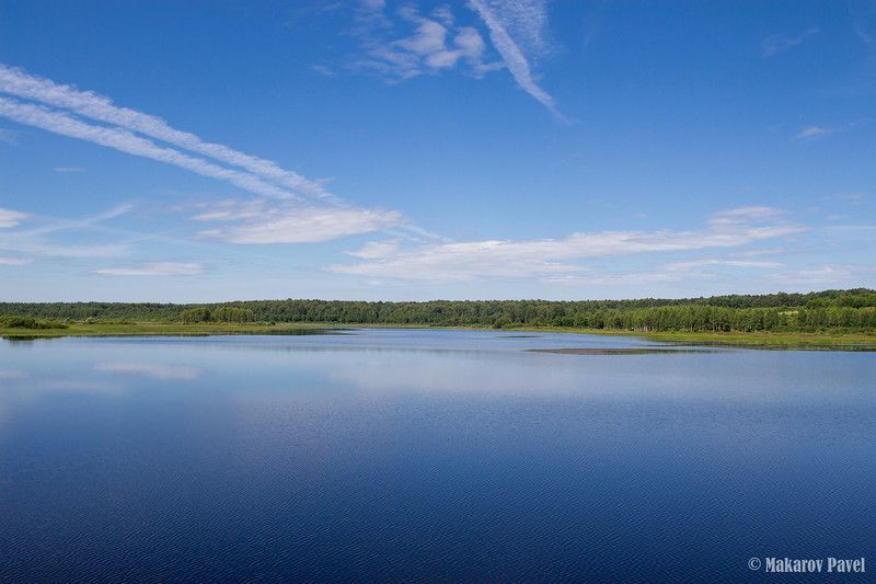 земля р-н Оленинский деревня Дубровка фото 5