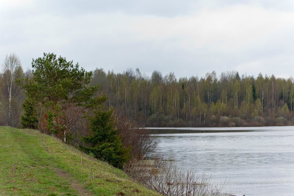 земля р-н Оленинский деревня Дубровка фото 8