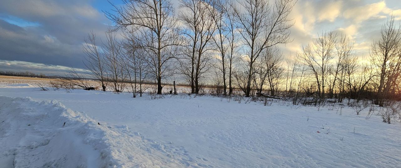 земля р-н Новоусманский п 2-го отделения совхоза "Масловский" Воронеж, Никольское сельское поселение фото 1