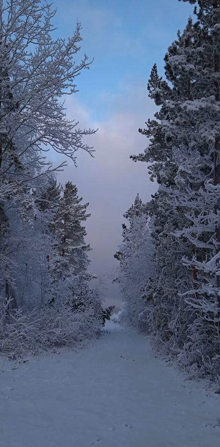 дом р-н Шелеховский санаторий Надежда, ул. А. Некрасовой, Братск фото 22