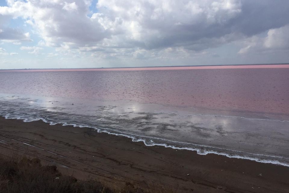 земля р-н Сакский село Лесновка фото 4