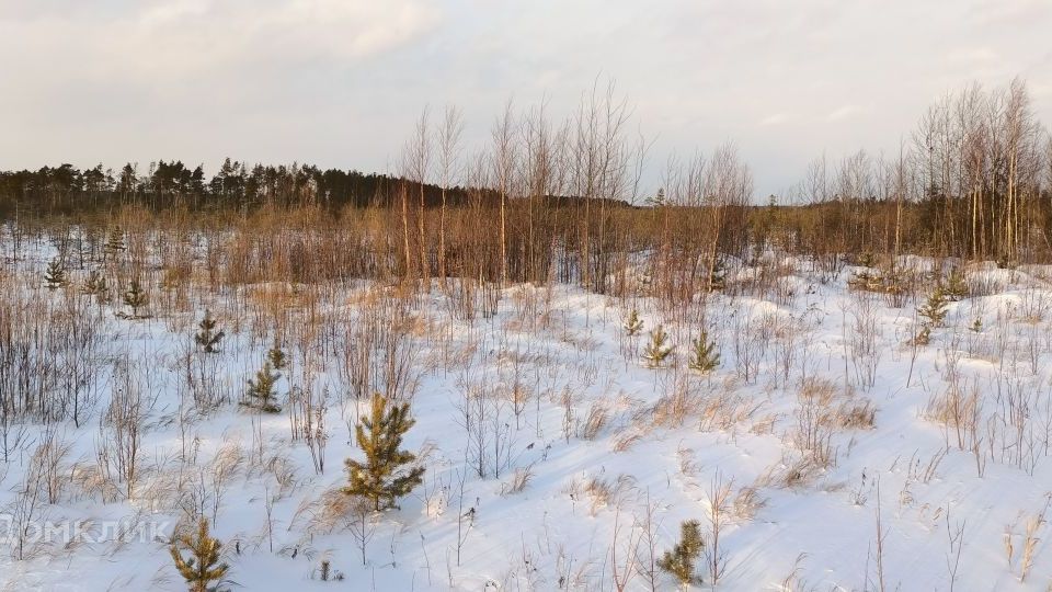 земля г Нижневартовск фото 8