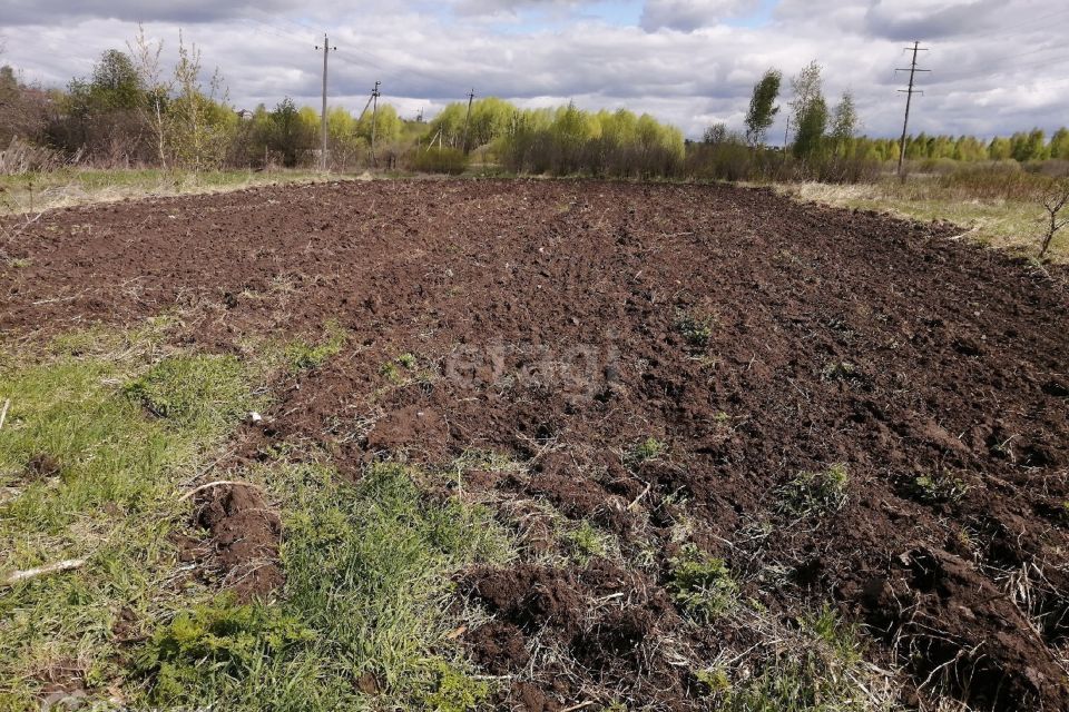 земля р-н Муромский село Чаадаево фото 1