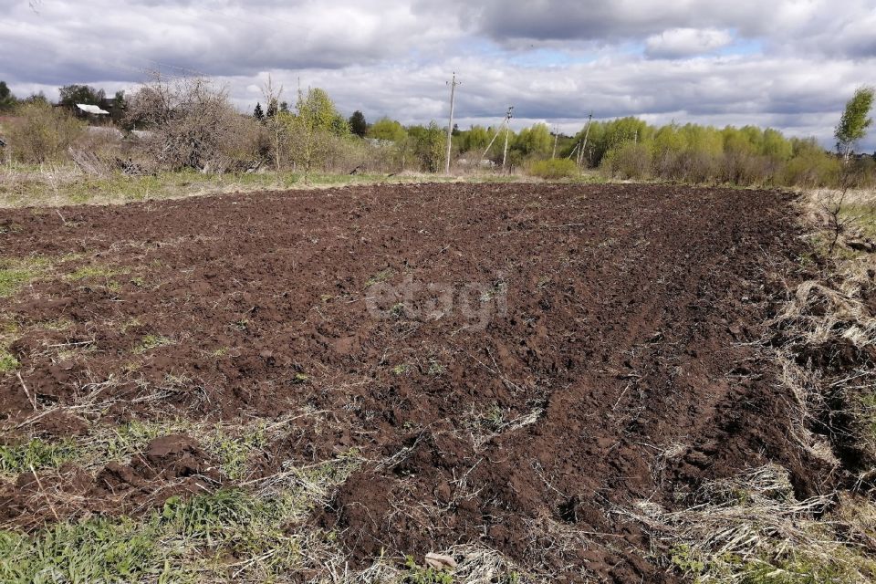 земля р-н Муромский село Чаадаево фото 4