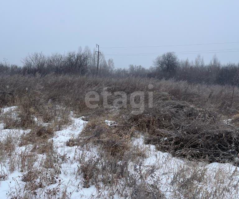 земля г Благовещенск ш Игнатьевское городской округ Благовещенск фото 6