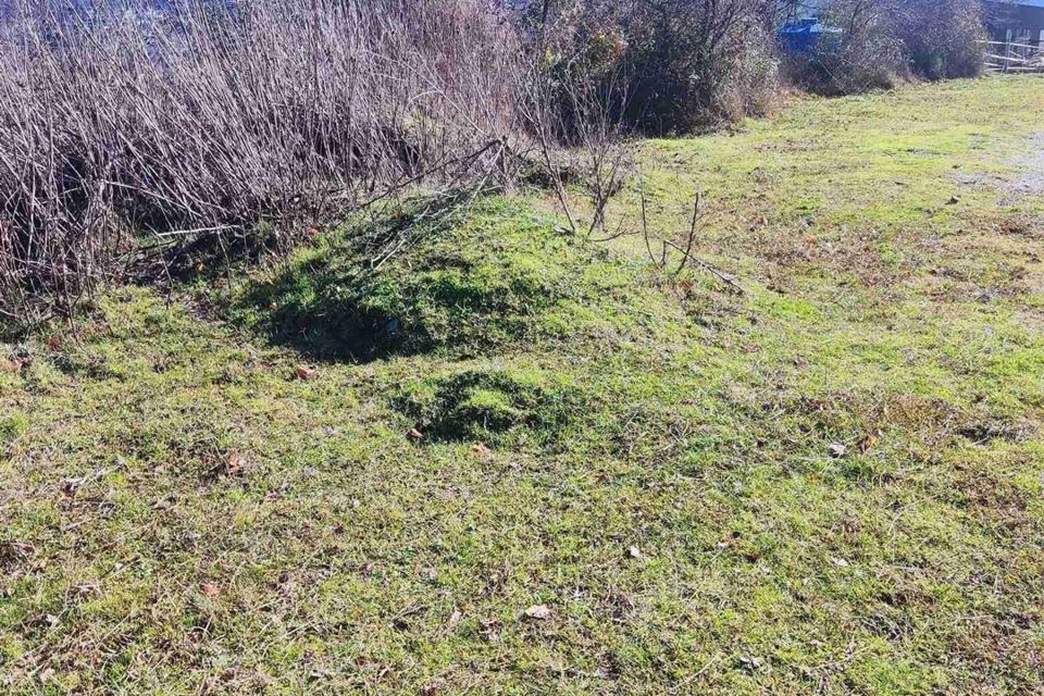 земля г Сочи с Вардане-Верино городской округ Сочи, садоводческое товарищество Вагонник фото 2