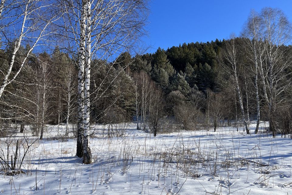 земля р-н Чойский село Кара-Торбок фото 6