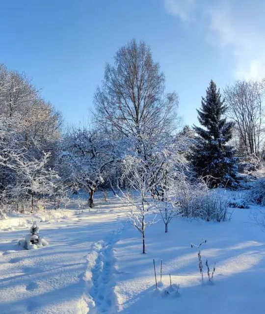 дом р-н Гатчинский деревня Мельница фото 4