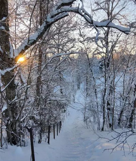 дом р-н Гатчинский деревня Мельница фото 8