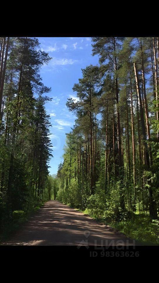 дом р-н Выборгский п Советский ул Береговая Советское городское поселение фото 17