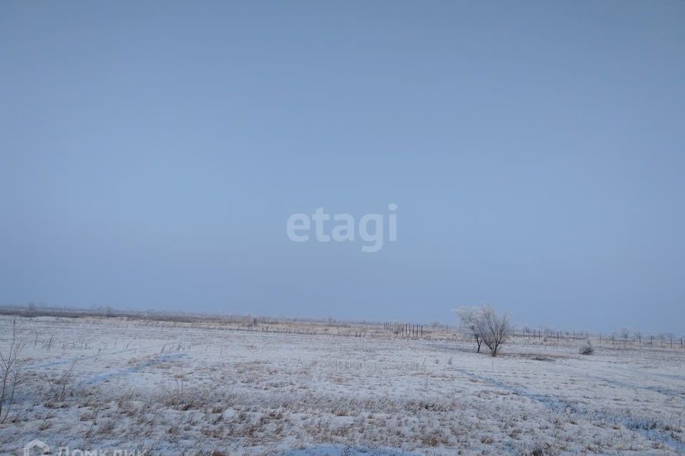 земля р-н Алтайский деревня Кайбалы фото 2