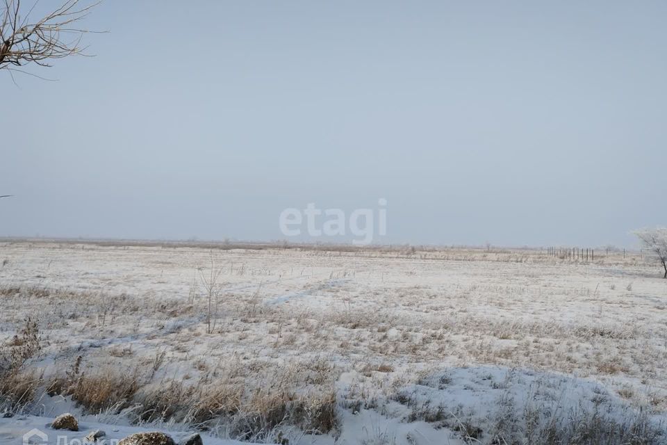 земля р-н Алтайский деревня Кайбалы фото 4