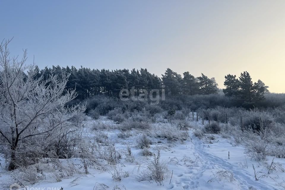 земля р-н Минусинский село Селиваниха фото 3