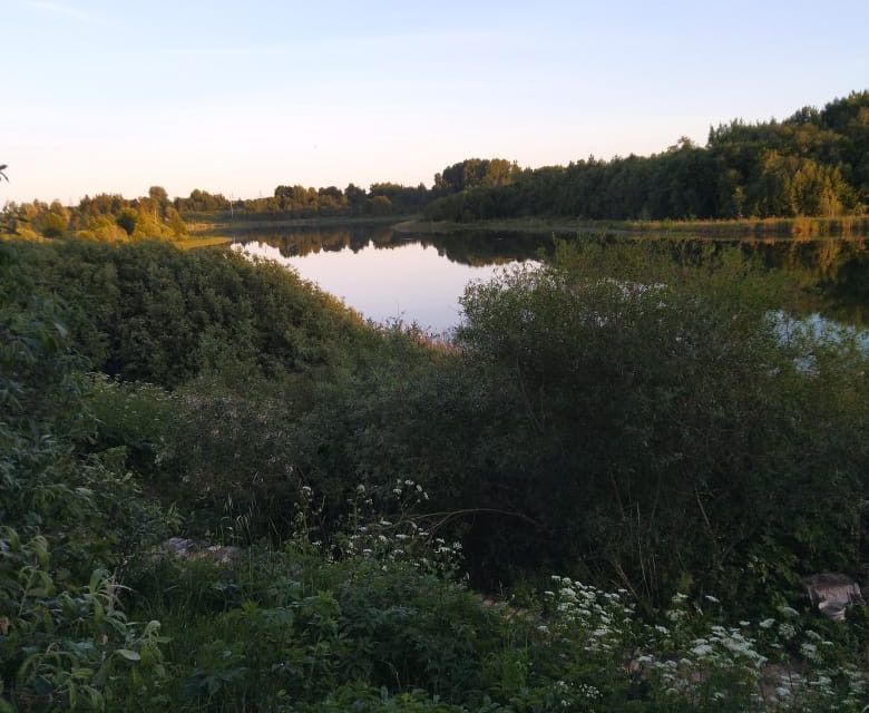 земля р-н Осташковский деревня Иванова Гора фото 8