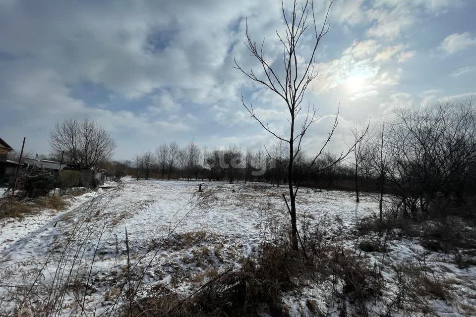 земля г Артем с Кролевцы ул Краснознаменная 2 Артёмовский городской округ фото 5