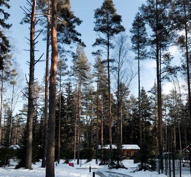 квартира р-н Всеволожский д Мистолово пр-д Спортивный 26 Бугровское с/пос фото 33