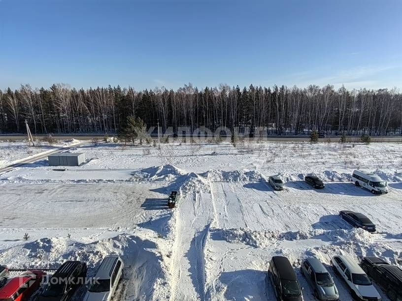 квартира р-н Новосибирский ДНТ Таис, улица Затонского, 105/3 фото 5