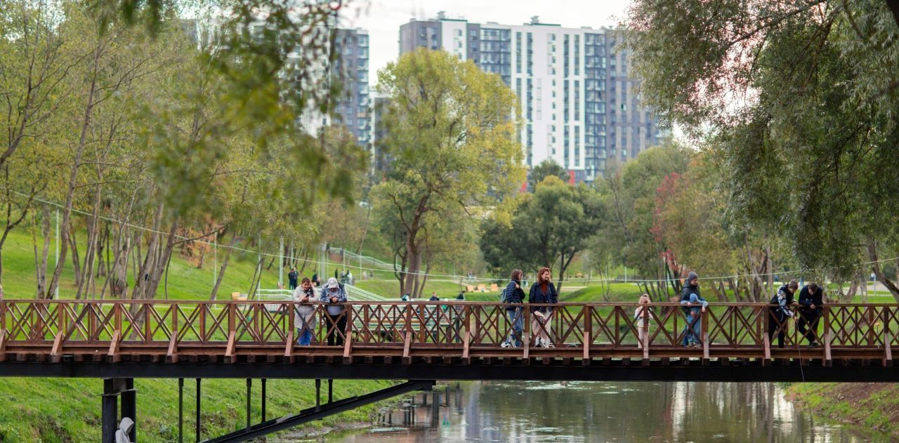 квартира г Москва п Десеновское метро Ольховая фото 40