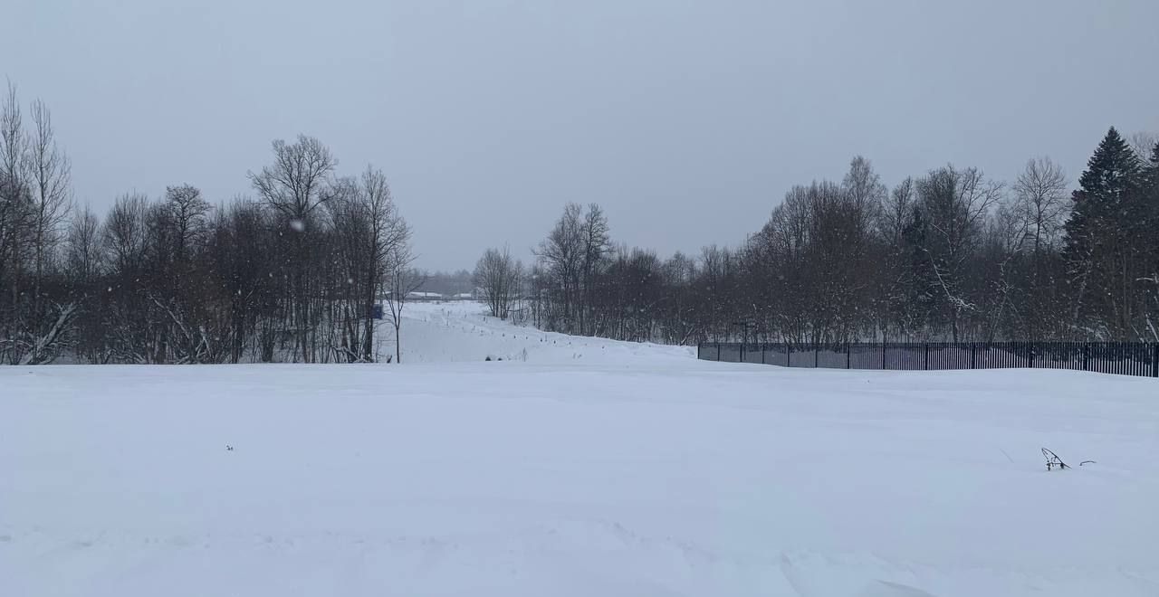 земля городской округ Истра с Новопетровское коттеджный пос. Нордик Форест, г. о. Истра фото 1