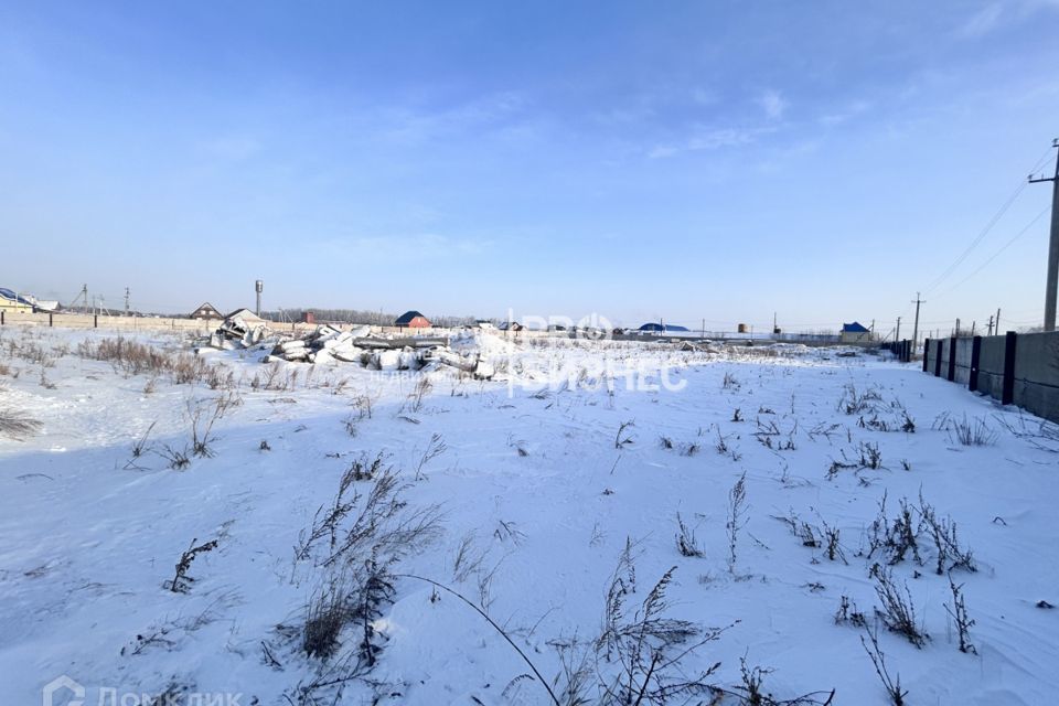 земля р-н Омский село Усть-Заостровка фото 3