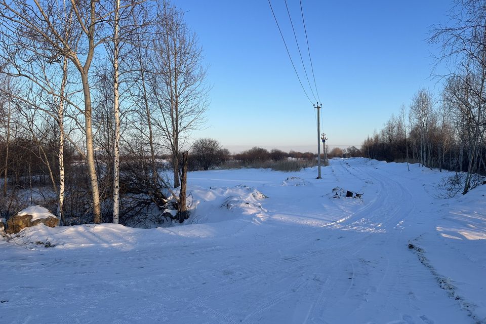 земля р-н Хабаровский село Тополево фото 1