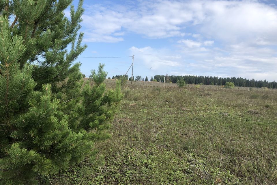 земля Добрянский городской округ, Лютиковая улица, деревня Заборье фото 5