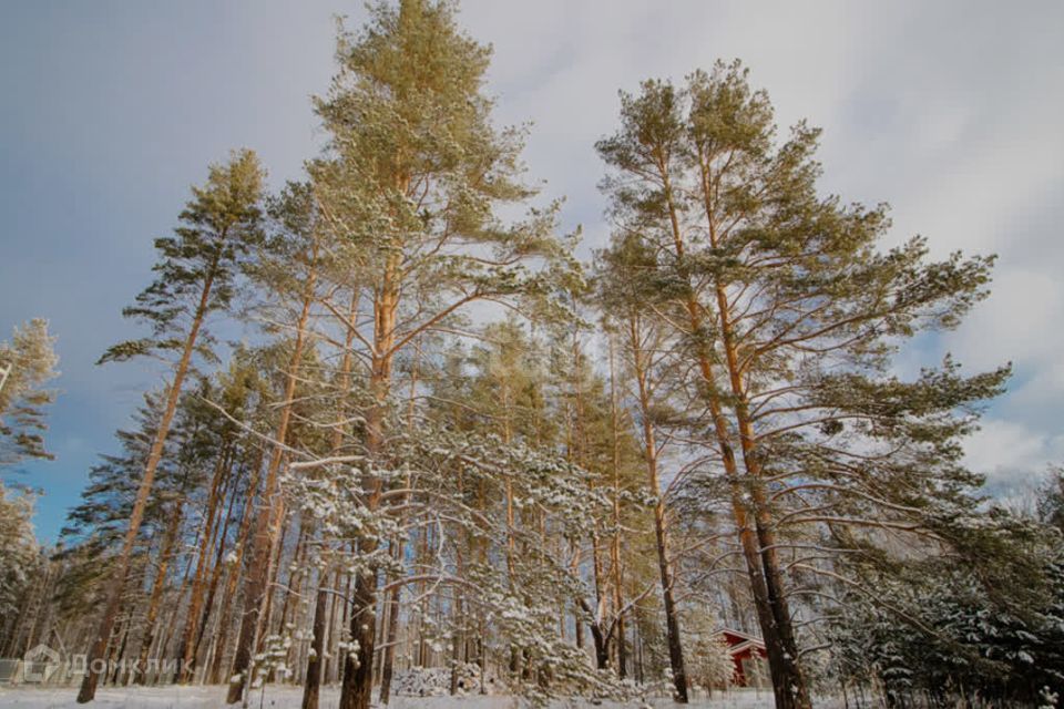 земля городской округ Верхняя Пышма, Верхняя Пышма фото 7