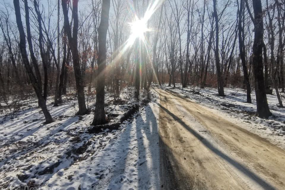 земля г Владивосток ул Пришвина Владивостокский городской округ фото 9