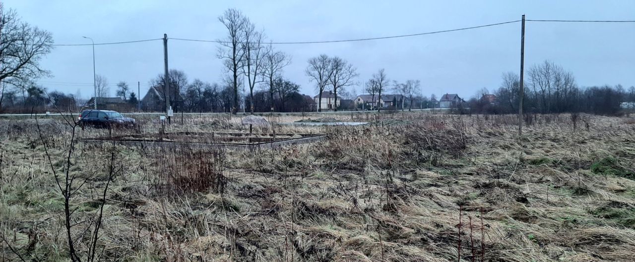 земля р-н Гурьевский п Зеленополье Луговское сельское поселение, Калининград фото 9