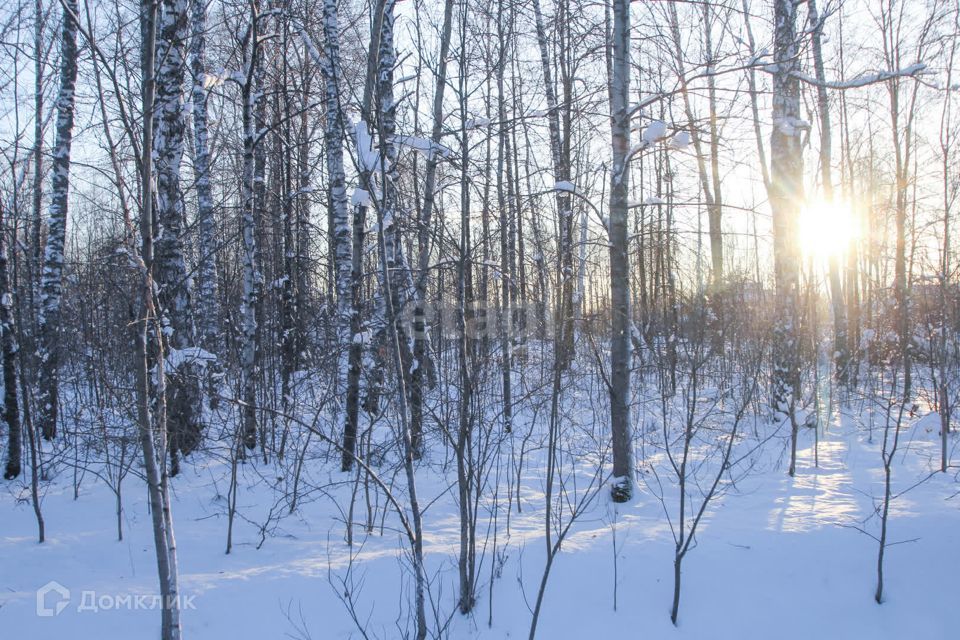 земля г Тобольск Центральная улица, городской округ Тобольск фото 5