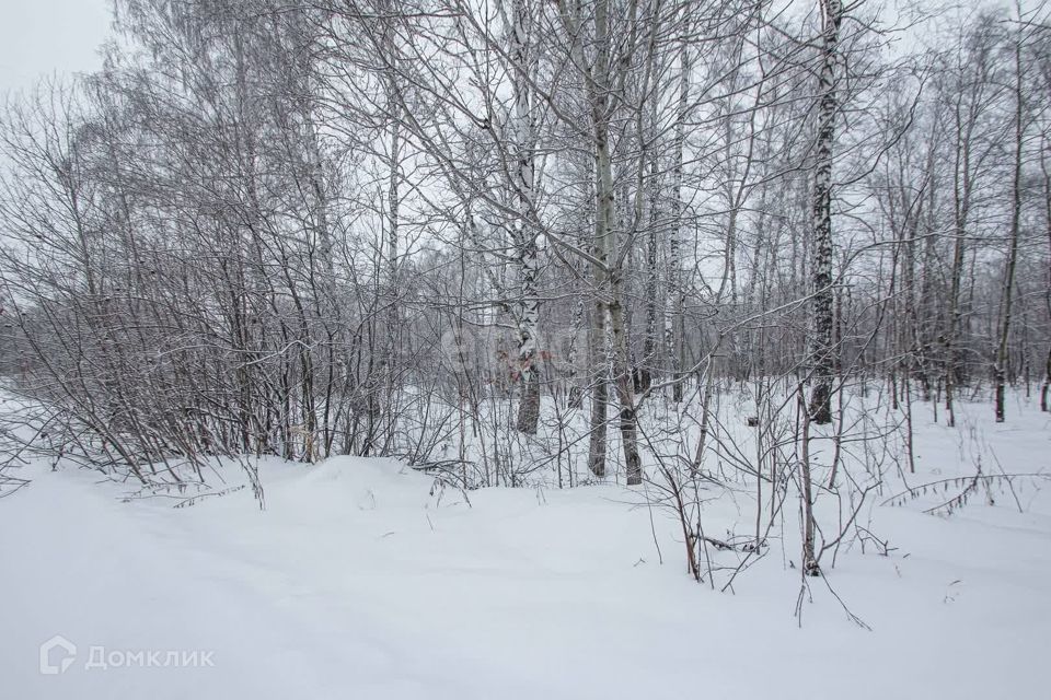 земля г Тобольск Центральная улица, городской округ Тобольск фото 10