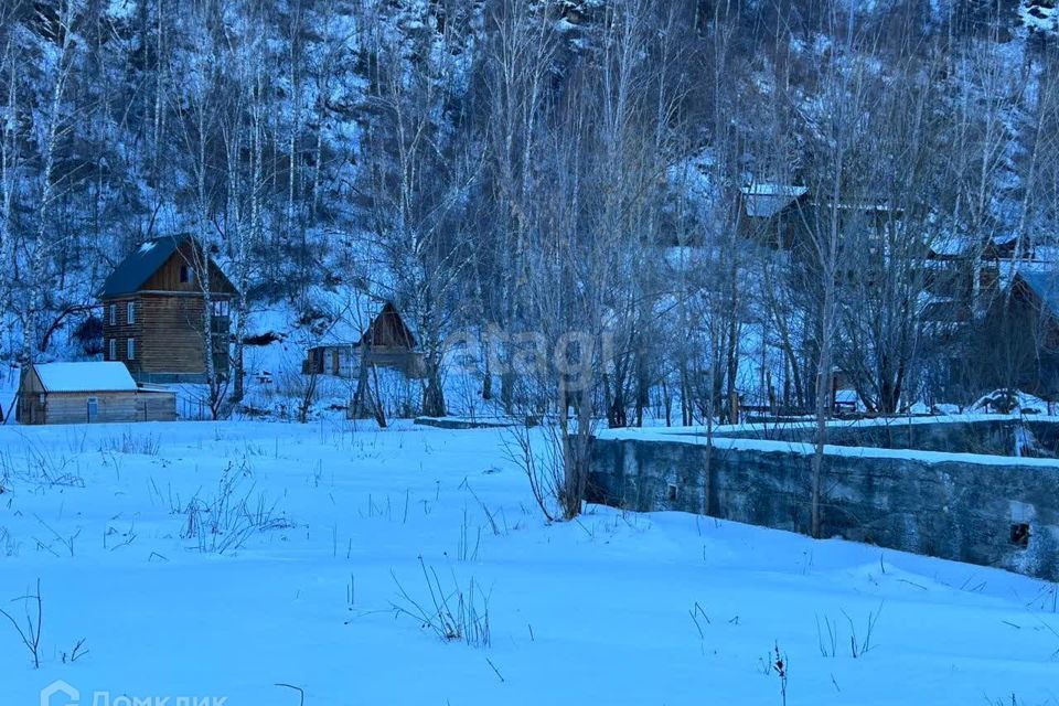 земля р-н Алтайский село Ая фото 5