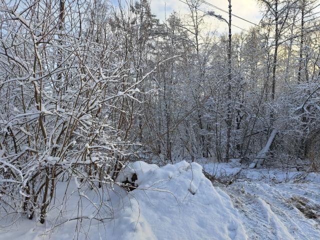 земля городской округ Якутск, Республика Саха Якутия, микрорайон Кангалассы фото 5