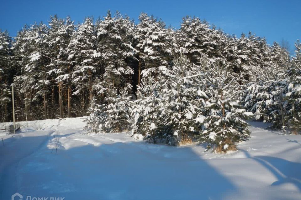 земля р-н Ярославский 10, СНТ Родничок фото 5