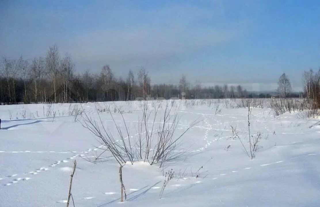 земля г Комсомольск-на-Амуре Эльбанское городское поселение, Эльбан фото 1