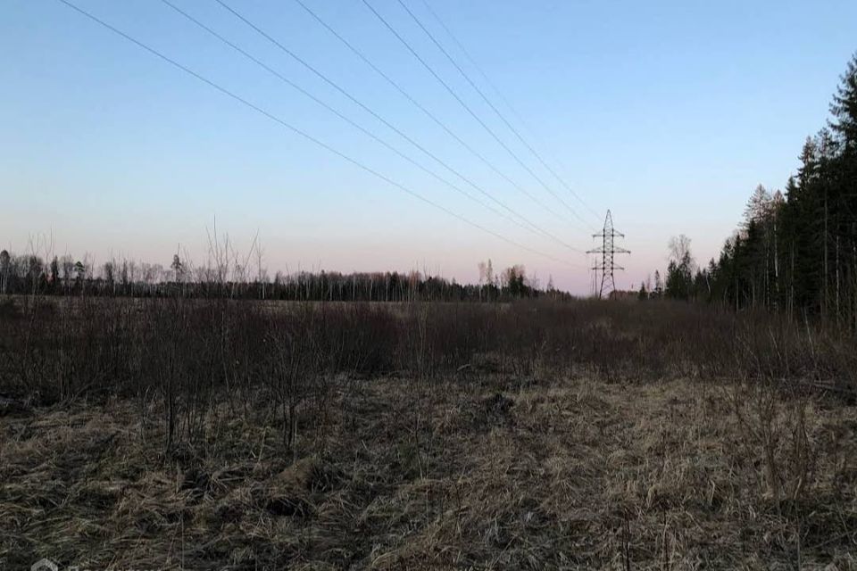 земля городской округ Коломенский д Андреевка городской округ Коломна, 19 фото 4