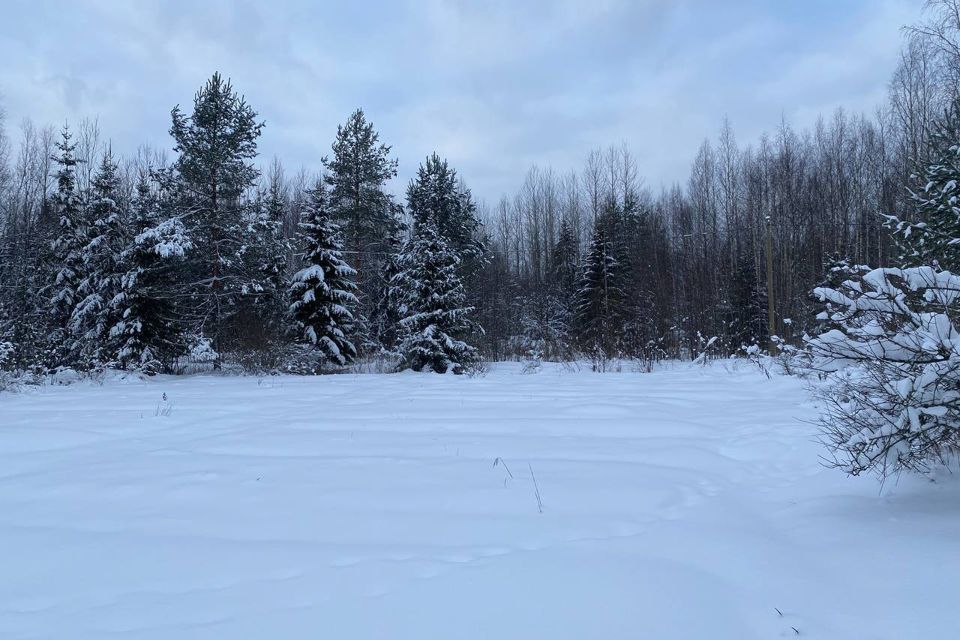 земля р-н Киришский снт Треугольник 76 фото 9