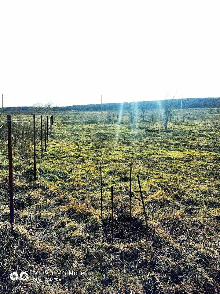 земля муниципальное образование Анапа, садово-огородническое товарищество Колос, 10-й проезд фото 4